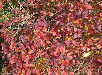uruguay/aigua/shop/panaderia