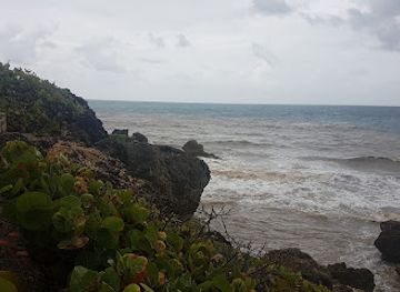 barbados/bathsheba/shop/cleaver-s-hill-supermarket-inc