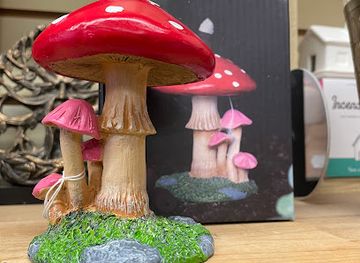 united-kingdom/nairnshire/shop/babalu