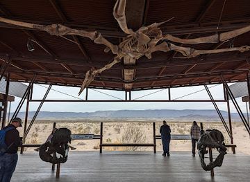 texas/big-bend-national-park/shop/fossil-discovery-exhibit