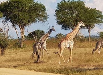 tanzania/mikumi-region/shop/mikumi-national-park
