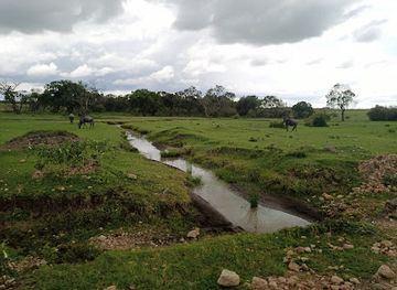 kenya/maasai-mara-national-reserve/shop/maasai-mara