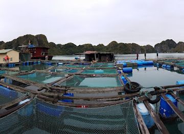 vietnam/cat-ba-island/shop/cat-ba-ventures