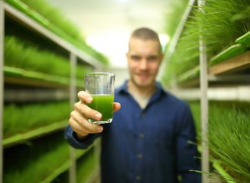 serbia/palic-lake/shop/zeleni-sokovi-nemet