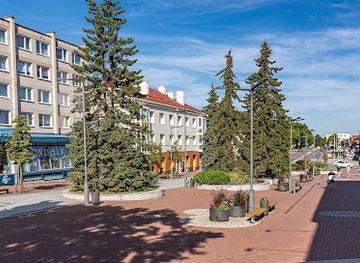 lithuania/siauliai/shop/sendaikciai