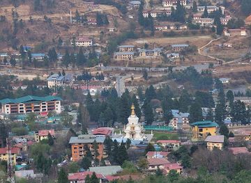 bhutan/punakha-valley/shop/azha-pasa