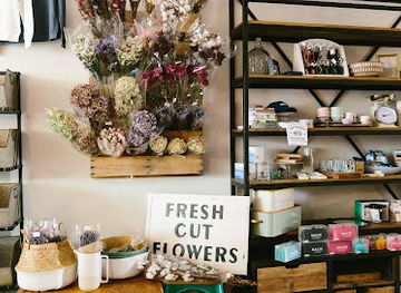 connecticut/west-hartford/shop/hope-stetson