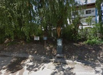 bhutan/western-bhutan/shop/b-mart