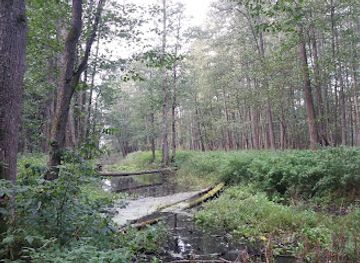 poland/białowieża-forest/shop/royal-oak-trail