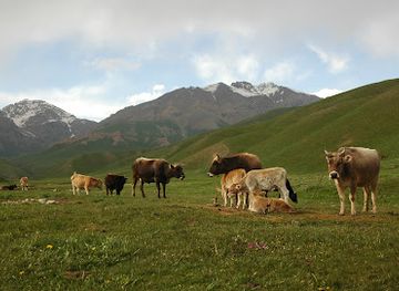 kyrgyzstan/tian-shan-mountains/shop/tien-shan-journeys-bespoke-travel-in-kyrgyzstan-and-central-asia