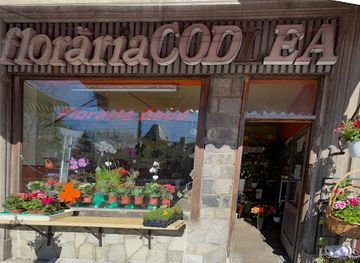 romania/bucegi-mountains/shop/floraria-codlea