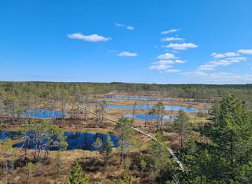 estonia/lahemaa-national-park/shop/lahemaa-national-park