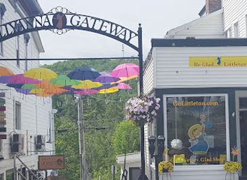 new-hampshire/grafton-county/shop/golittleton-glad-shop