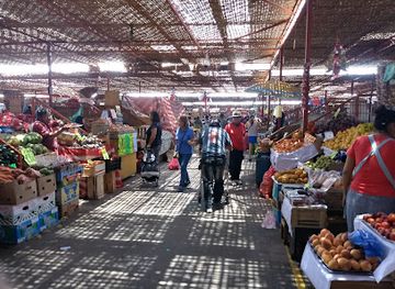 chile/arica/shop/terminal-asocapec