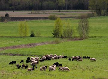 finland/repovesi-national-park/shop/pihlajasaaren-lammastila