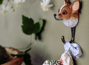 finland/savonlinna/shop/lapinpollon-paja