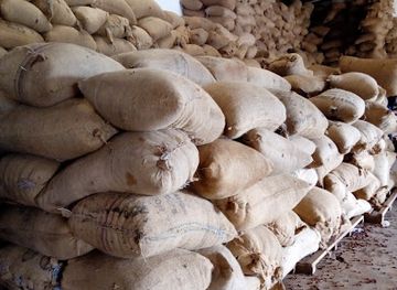 cote-d-ivoire/tai-national-park/shop/magasin-cooperative-allah-kabo-so-co-j-a-a-k-coop-ca