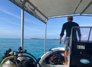 palau/helen-reef/shop/aqua-magic-palau