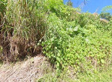 philippines/mt-pulag/shop/sheryl-online-shop