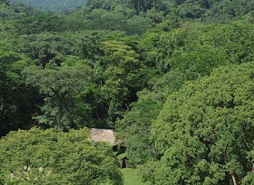 mexico/lacandon-jungle/shop/bonampak