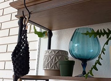 florida/fort-myers/shop/curio-downtown