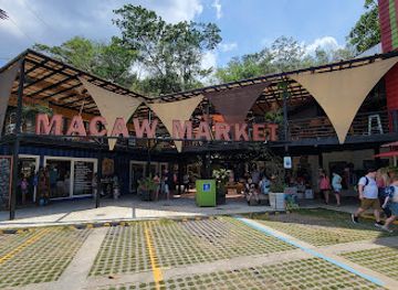 honduras/roatan/shop/macaw-container-market