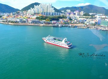 south-korea/yeosu-ocean-park/shop/yeosu-cable-car-dolsan-station