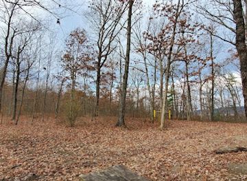 maryland/green-ridge-state-forest/shop/green-ridge-state-forest-campsite-83