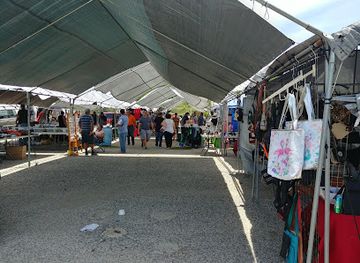 puerto-rico/caribbean-national-forest/shop/pulguero-guayanilla