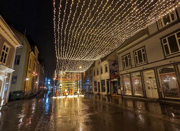 norway/tromso/shop/safari-shop