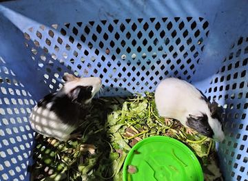 myanmar-burma/ngapali-beach/shop/ngapali-beach