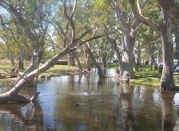 australia/south-east-south-australia/shop/ruby-tuesday-gifts-and-accessories