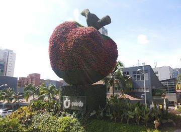 colombia/insular-region/shop/oviedo