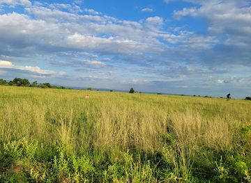 uganda/murchison-falls-national-park/shop/murchison-falls-safari