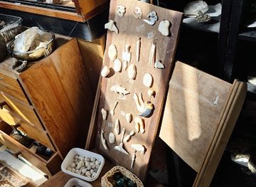 denmark/mols-bjerge/shop/troldhedesten