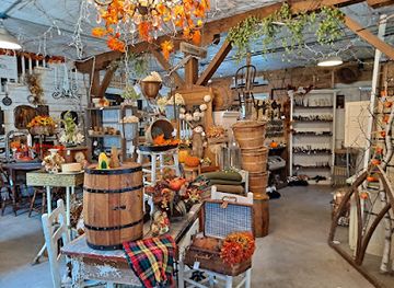 minnesota/superior-national-forest/shop/unique-boutique-antiques-tour