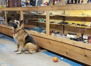 arkansas/devil-s-den-state-park/shop/mountaintop-gun-shop