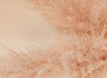 portugal/peniche/shop/guapa-store