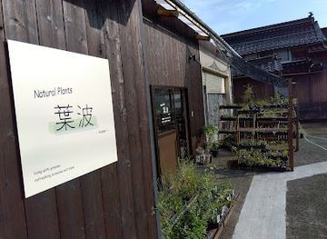 japan/iwami/shop/natural-plants
