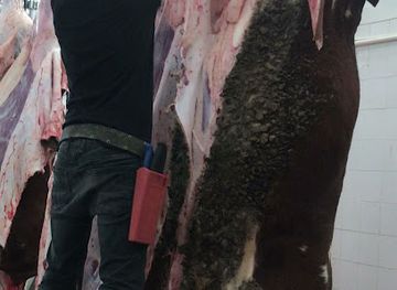 iceland/húsavík/shop/norolenska