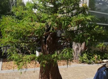 south-africa/cape-winelands/shop/stellenbosch-botanical-garden-shop