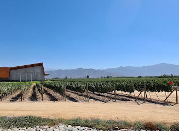 chile/maipo-valley/shop/wineshop-vina-santa-ema-el-peral