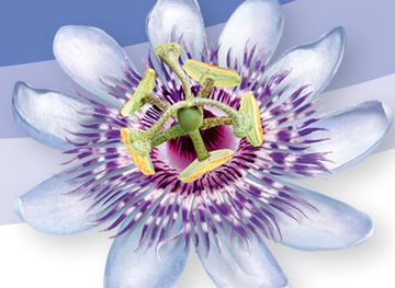 norway/oslo/frogner/shop/shopbop