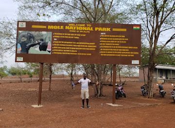 ghana/mole-national-park/shop/mole-national-park