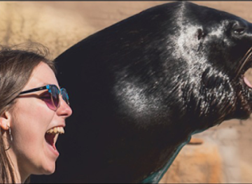 argentina/mar-del-plata/shop/aquarium