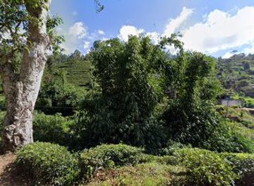 sri-lanka/horton-plains-national-park/shop/s-r-s-stores