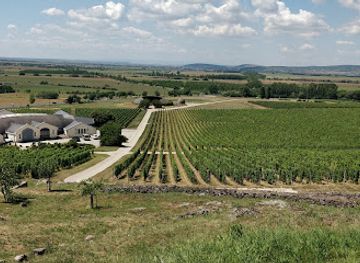 hungary/tokaj-wine-region/shop/tokaj-disznoko-vineyards-and-winery-plc