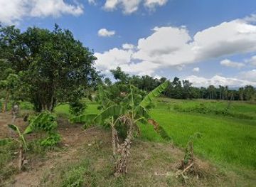 philippines/bohol/shop/aguelo-souvenir-shop