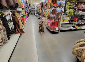 texas/killeen/shop/murdoch-s-ranch-home-supply