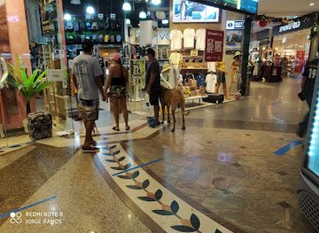 mexico/sierra-madre-oriental/shop/plaza-bonita